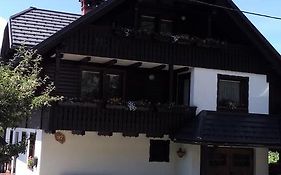 Apartment Cvetek Janez