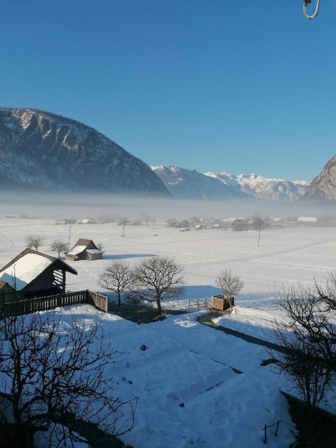 Apartment Cvetek Janez Bohinj Buitenkant foto